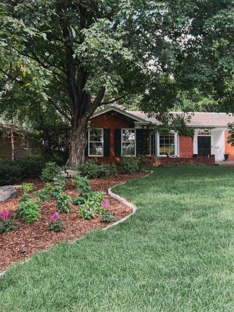 Lush, green front lawn of a home