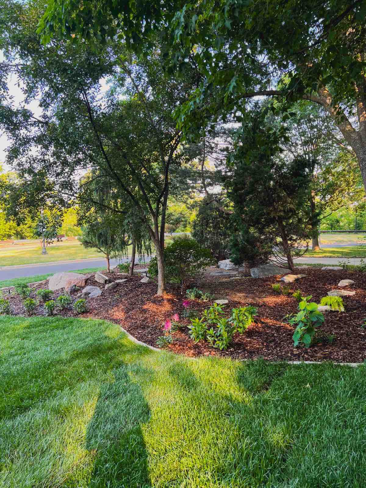 A shadow is seen in vibrant green grass in a front yard. The sun is setting behind the figure